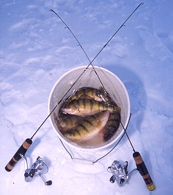 Ice Fishing for Bluegill: How to Catch Panfish Through the Ice